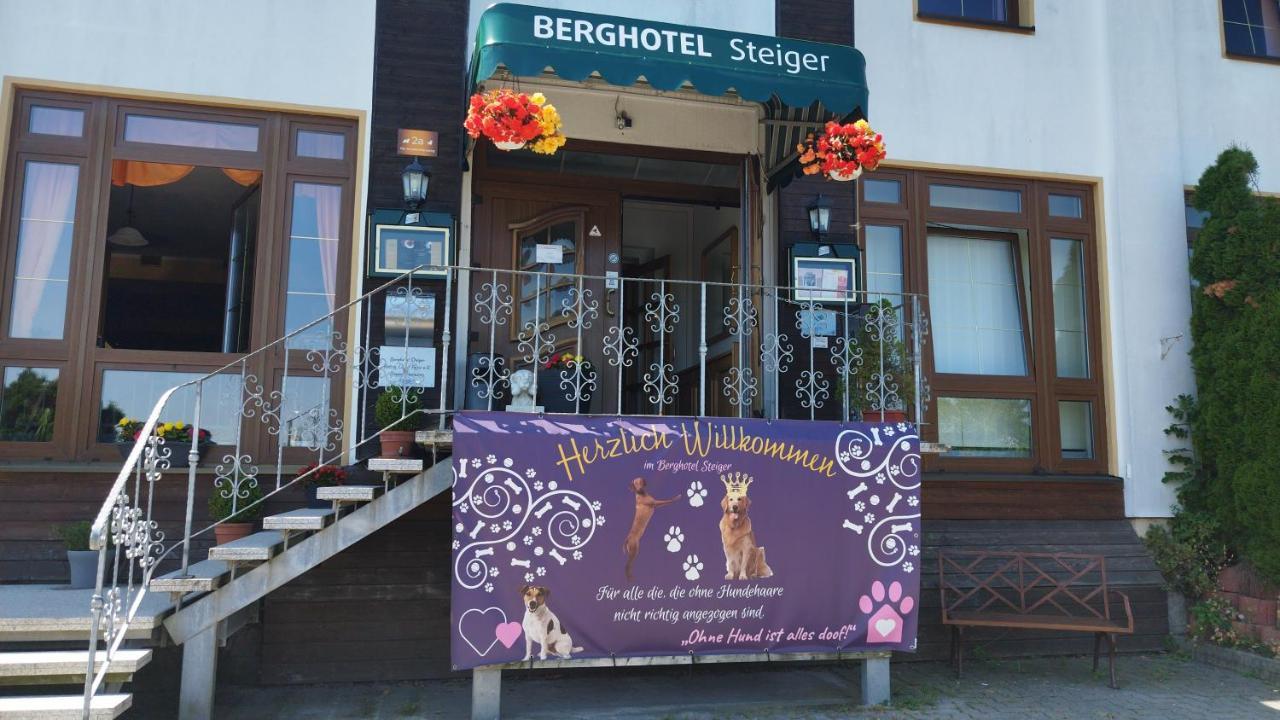 Berghotel Steiger - Erzgebirge Шнеберг Экстерьер фото
